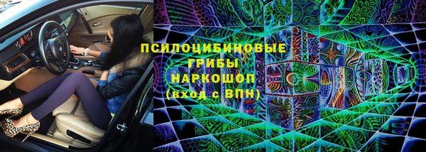 тгк Кукмор